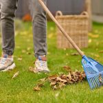 Year-Round Landscape Care Tips for a Healthier, Happier Yard